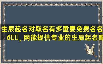 生辰起名对取名有多重要免费名名 🌸 网能提供专业的生辰起名服务 🌷 吗
